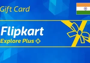 Flipkart India